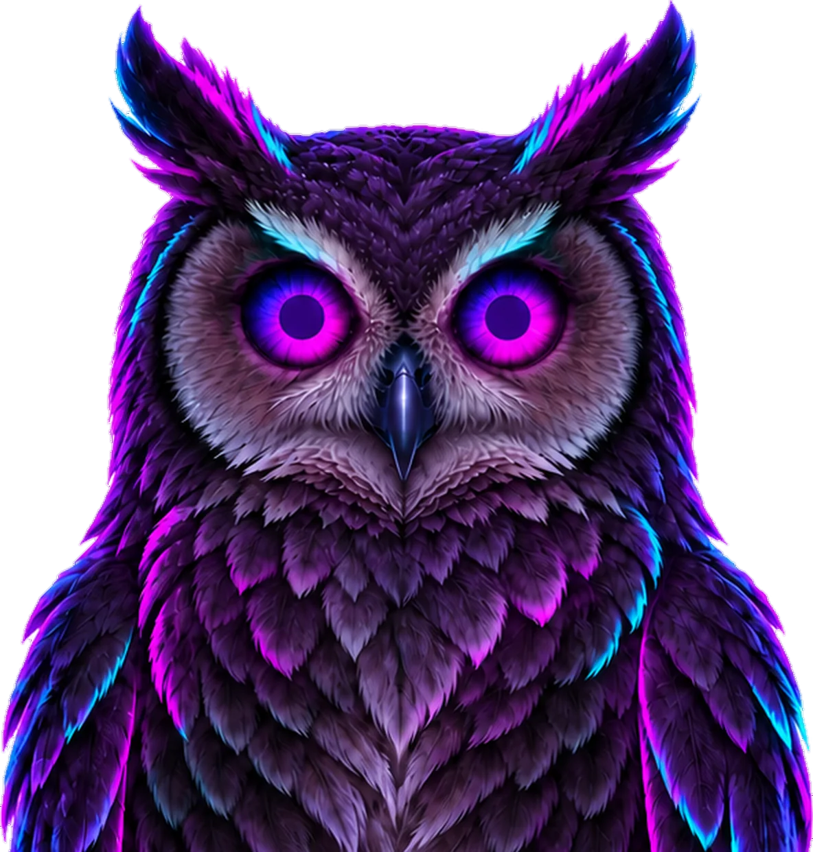 Slotifai owl